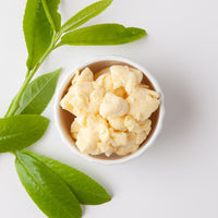 Organic Cupuaçu Butter