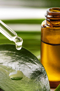 Organic Tea Tree Oil