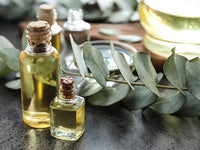 Organic Eucalyptus